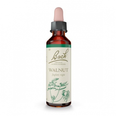 Bach Walnut 20ml